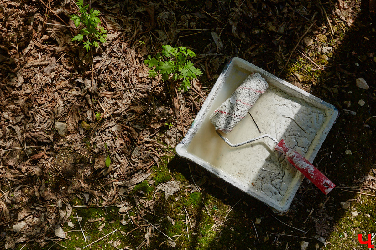 Уличные художники продолжают украшать наш город. На непримечательных стенах оживают фантазийные персонажи и разные существа, горят пламенем яркие шрифты, уносят в мир грез пейзажи. Правда, арты вдали от центра мало кто заметит, поэтому «Ключ-Медиа» решил исправить это упущение.