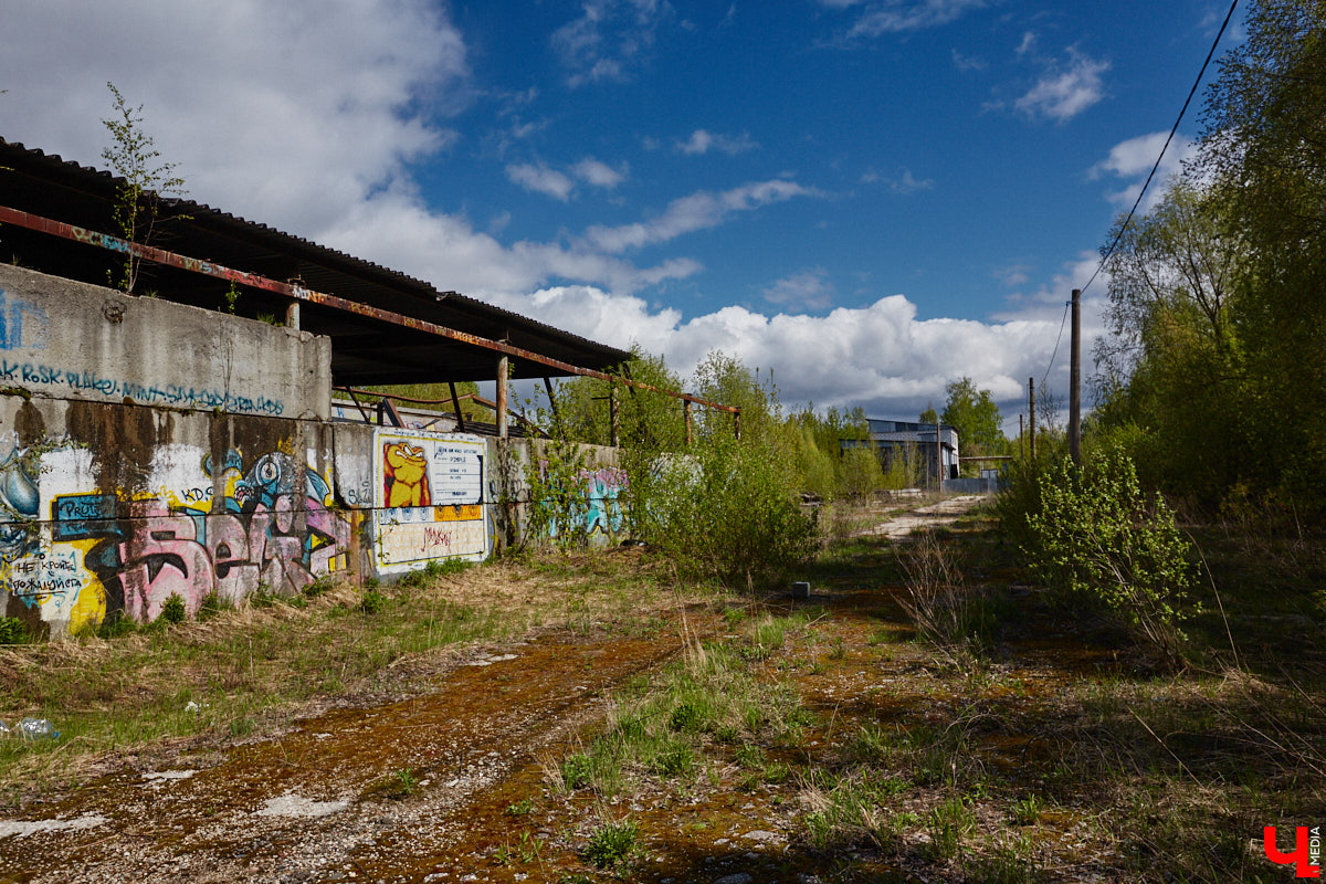 Уличные художники продолжают украшать наш город. На непримечательных стенах оживают фантазийные персонажи и разные существа, горят пламенем яркие шрифты, уносят в мир грез пейзажи. Правда, арты вдали от центра мало кто заметит, поэтому «Ключ-Медиа» решил исправить это упущение.