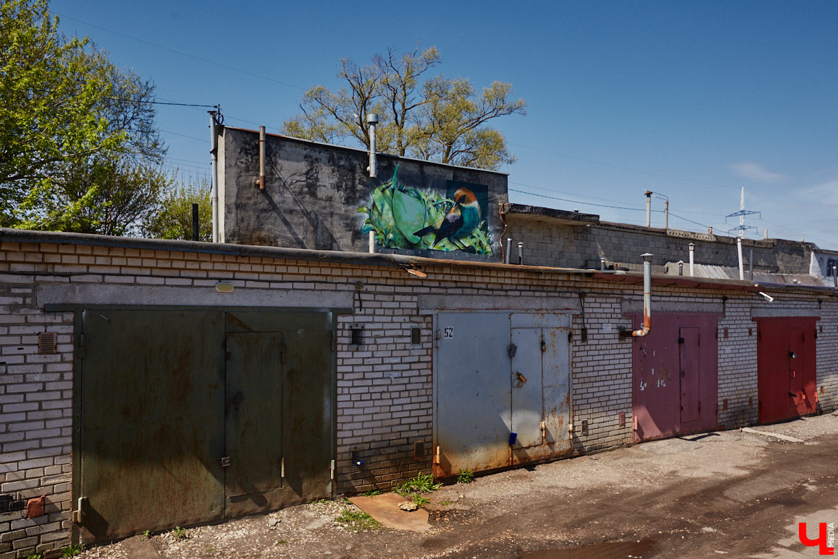 Уличные художники продолжают украшать наш город. На непримечательных стенах оживают фантазийные персонажи и разные существа, горят пламенем яркие шрифты, уносят в мир грез пейзажи. Правда, арты вдали от центра мало кто заметит, поэтому «Ключ-Медиа» решил исправить это упущение.