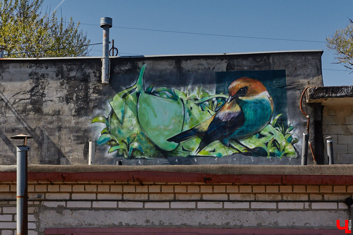 Уличные художники продолжают украшать наш город. На непримечательных стенах оживают фантазийные персонажи и разные существа, горят пламенем яркие шрифты, уносят в мир грез пейзажи. Правда, арты вдали от центра мало кто заметит, поэтому «Ключ-Медиа» решил исправить это упущение.