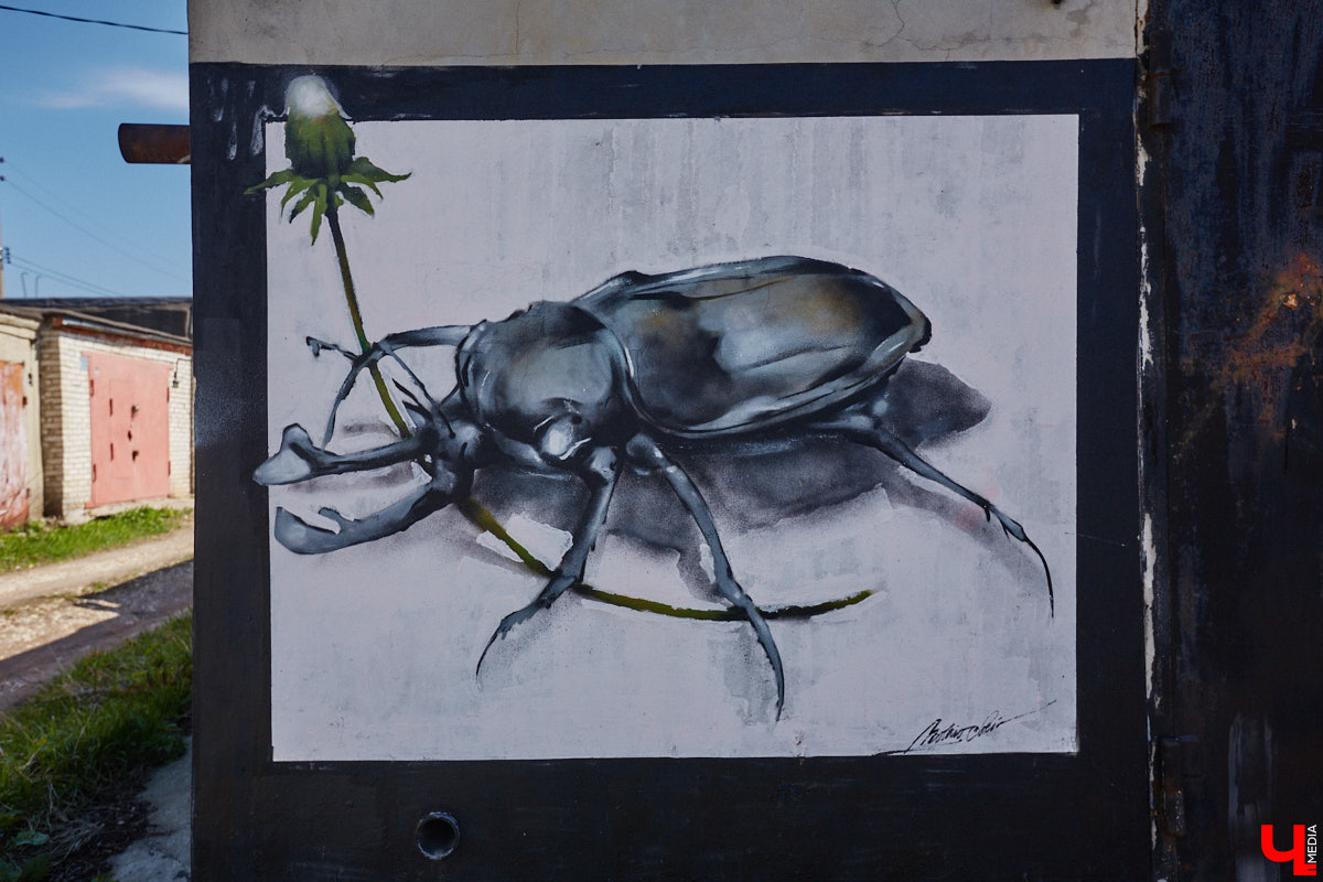 Уличные художники продолжают украшать наш город. На непримечательных стенах оживают фантазийные персонажи и разные существа, горят пламенем яркие шрифты, уносят в мир грез пейзажи. Правда, арты вдали от центра мало кто заметит, поэтому «Ключ-Медиа» решил исправить это упущение.