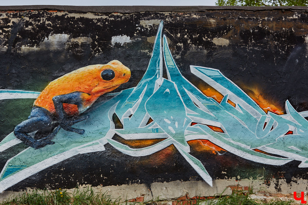Уличные художники продолжают украшать наш город. На непримечательных стенах оживают фантазийные персонажи и разные существа, горят пламенем яркие шрифты, уносят в мир грез пейзажи. Правда, арты вдали от центра мало кто заметит, поэтому «Ключ-Медиа» решил исправить это упущение.