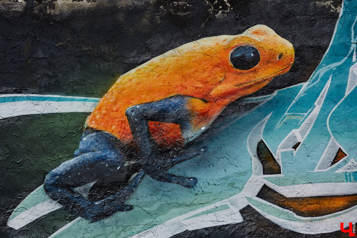 Уличные художники продолжают украшать наш город. На непримечательных стенах оживают фантазийные персонажи и разные существа, горят пламенем яркие шрифты, уносят в мир грез пейзажи. Правда, арты вдали от центра мало кто заметит, поэтому «Ключ-Медиа» решил исправить это упущение.