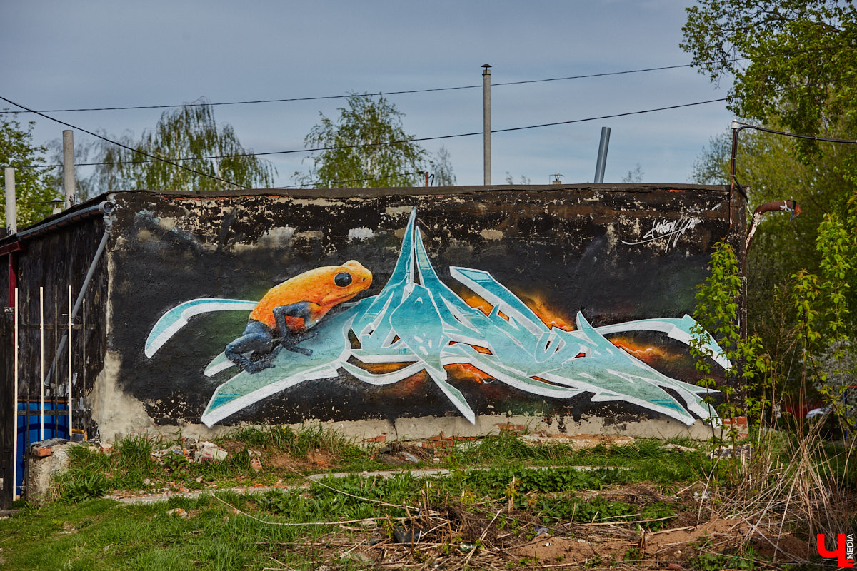 Уличные художники продолжают украшать наш город. На непримечательных стенах оживают фантазийные персонажи и разные существа, горят пламенем яркие шрифты, уносят в мир грез пейзажи. Правда, арты вдали от центра мало кто заметит, поэтому «Ключ-Медиа» решил исправить это упущение.