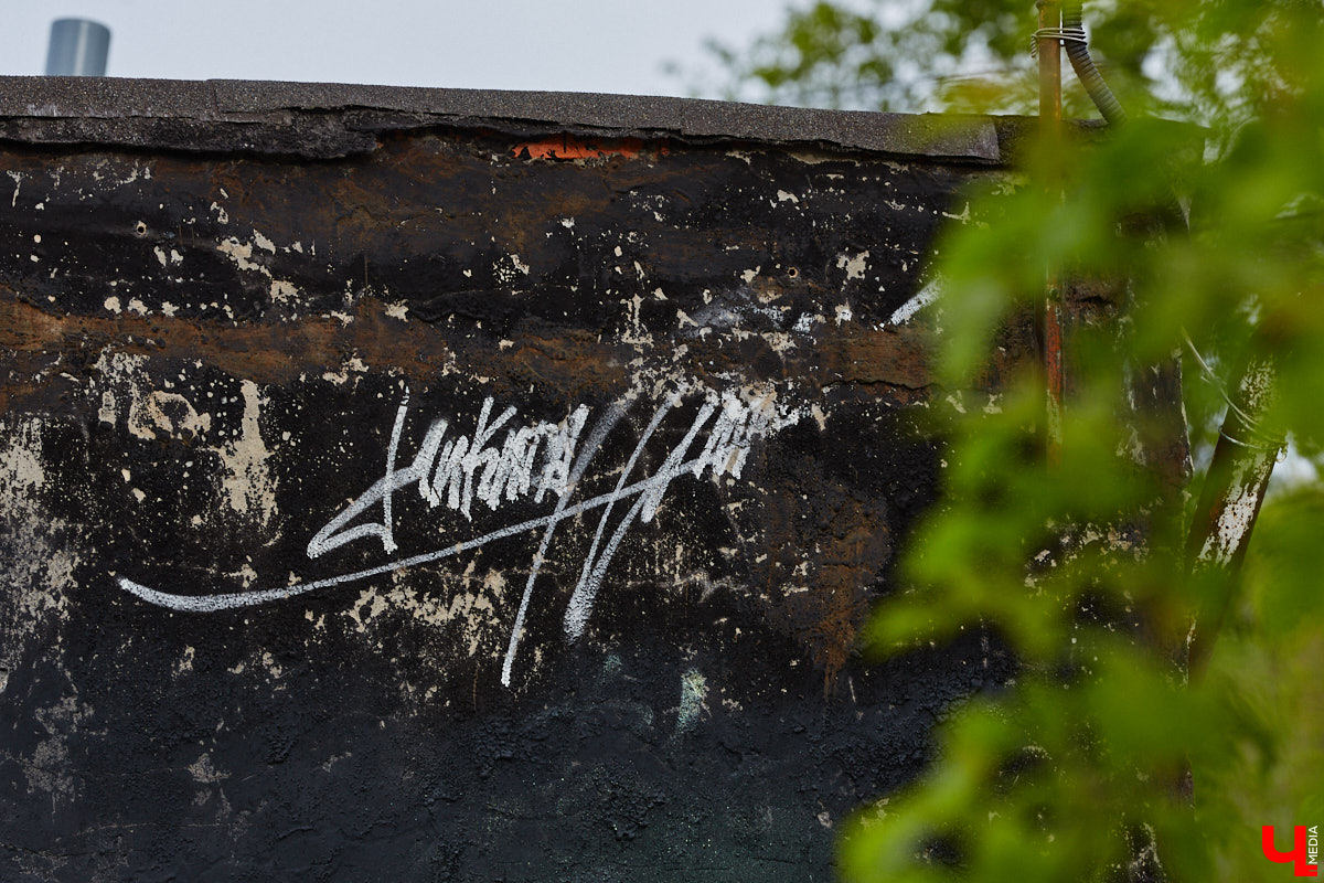 Уличные художники продолжают украшать наш город. На непримечательных стенах оживают фантазийные персонажи и разные существа, горят пламенем яркие шрифты, уносят в мир грез пейзажи. Правда, арты вдали от центра мало кто заметит, поэтому «Ключ-Медиа» решил исправить это упущение.