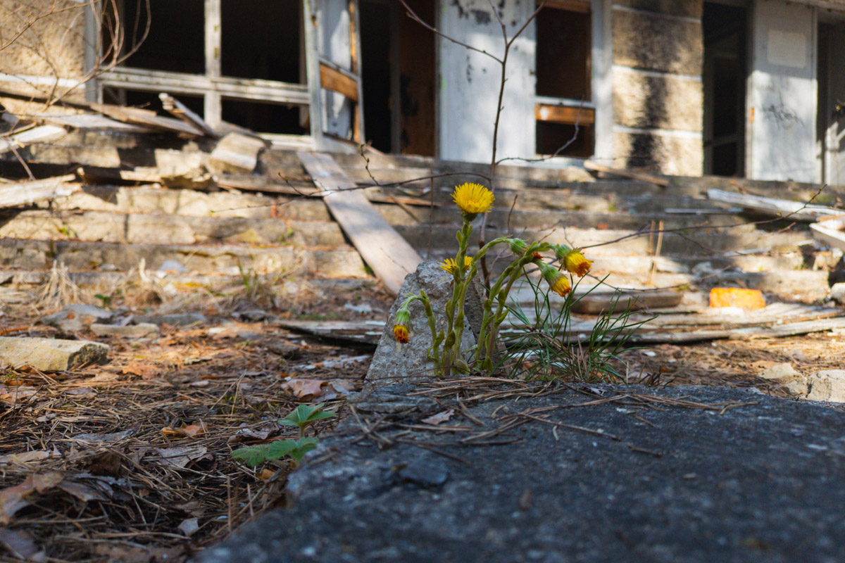 А если бы стены умели говорить, что бы они нам рассказали? Об этом, надо полагать, думают все, кто когда-то гулял по заброшенным зданиям. В регионе их много, но в особенном месте военный городок в Петушинском районе. Тут не одно разрушенное строение, а большая территория, где несколько корпусов сейчас просто руины, хранящие свои тайны.