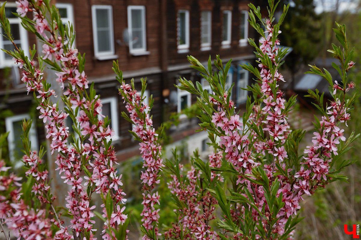 Помните, раньше говорили: «Шапку надень, не май месяц»? Сейчас же и в преддверии лета хочется закутаться во все теплое, вязаное, уютное. Неужели последний весенний братец так и не порадует нас теплыми деньками?
