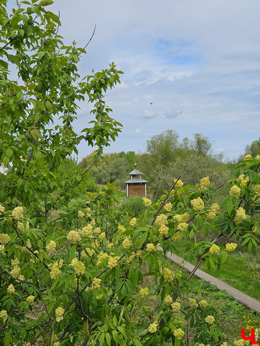Куда отправиться в выходные? Протестировали совсем близкий маршрут: полтора часа — и вы в Муроме. Что там ждет кроме калачей? Добрые дела, прекрасные виды и... павлины. Рассказываем о коротком, но увлекательном туре выходного дня.