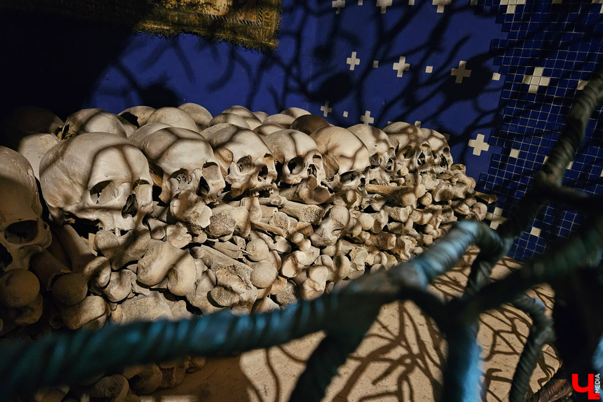 Куда отправиться в выходные? Протестировали совсем близкий маршрут: полтора часа — и вы в Муроме. Что там ждет кроме калачей? Добрые дела, прекрасные виды и... павлины. Рассказываем о коротком, но увлекательном туре выходного дня.