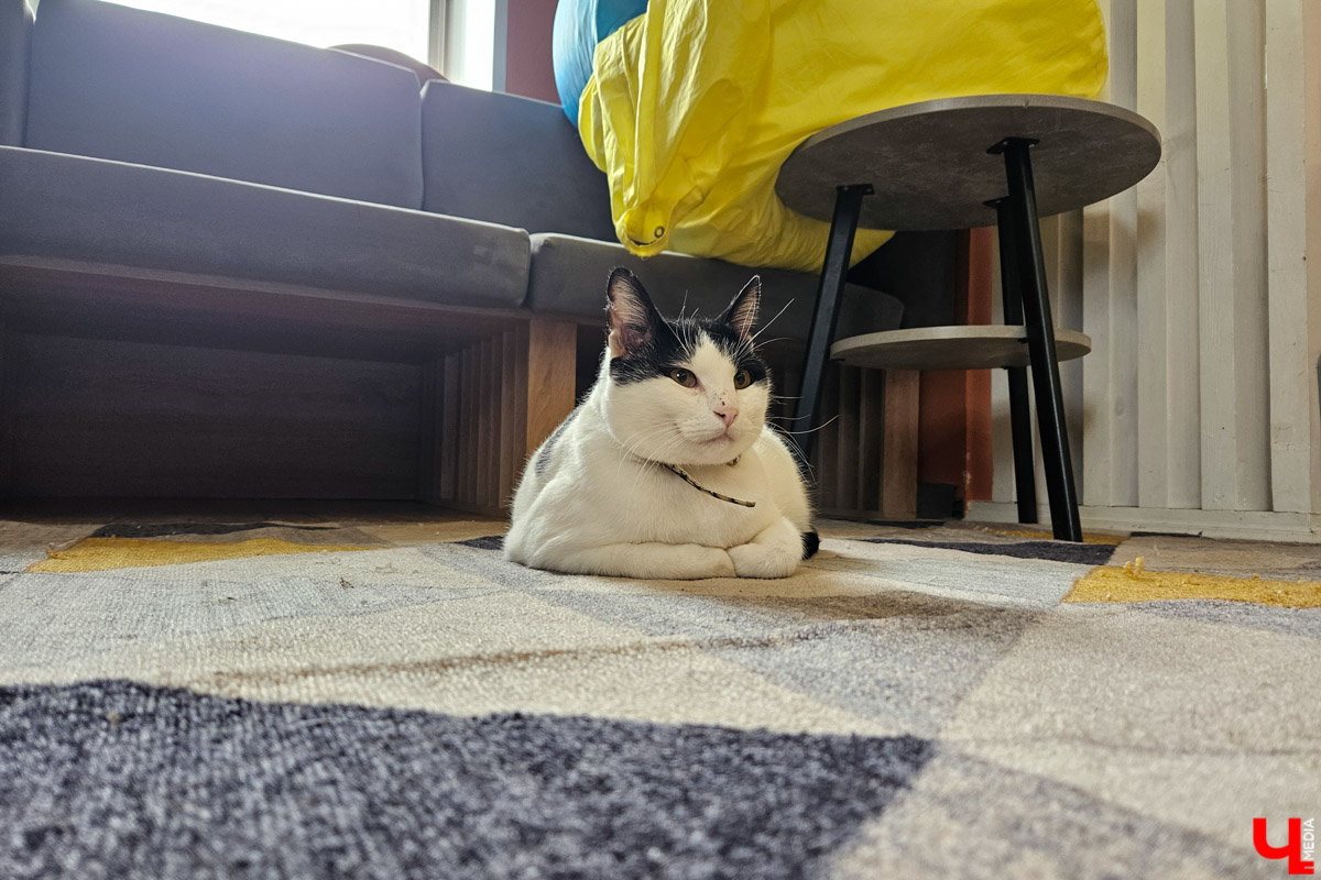 Куда отправиться в выходные? Протестировали совсем близкий маршрут: полтора часа — и вы в Муроме. Что там ждет кроме калачей? Добрые дела, прекрасные виды и... павлины. Рассказываем о коротком, но увлекательном туре выходного дня.