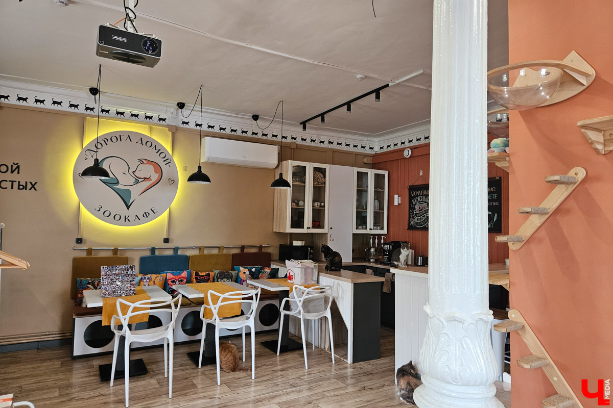 Куда отправиться в выходные? Протестировали совсем близкий маршрут: полтора часа — и вы в Муроме. Что там ждет кроме калачей? Добрые дела, прекрасные виды и... павлины. Рассказываем о коротком, но увлекательном туре выходного дня.