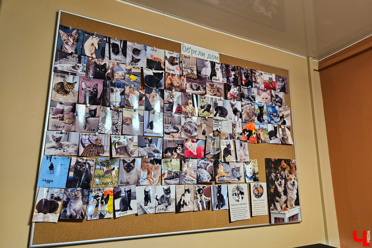 Куда отправиться в выходные? Протестировали совсем близкий маршрут: полтора часа — и вы в Муроме. Что там ждет кроме калачей? Добрые дела, прекрасные виды и... павлины. Рассказываем о коротком, но увлекательном туре выходного дня.