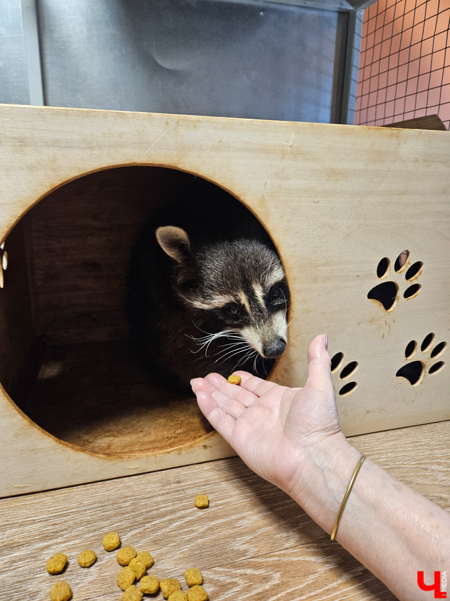 Куда отправиться в выходные? Протестировали совсем близкий маршрут: полтора часа — и вы в Муроме. Что там ждет кроме калачей? Добрые дела, прекрасные виды и... павлины. Рассказываем о коротком, но увлекательном туре выходного дня.