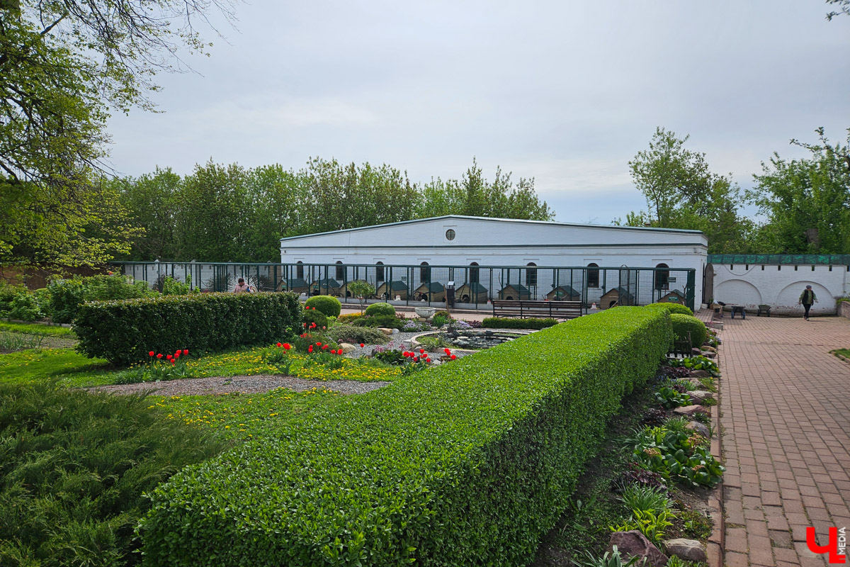 Куда отправиться в выходные? Протестировали совсем близкий маршрут: полтора часа — и вы в Муроме. Что там ждет кроме калачей? Добрые дела, прекрасные виды и... павлины. Рассказываем о коротком, но увлекательном туре выходного дня.