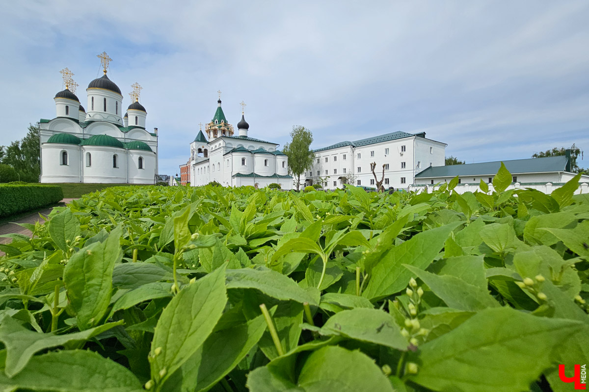Куда отправиться в выходные? Протестировали совсем близкий маршрут: полтора часа — и вы в Муроме. Что там ждет кроме калачей? Добрые дела, прекрасные виды и... павлины. Рассказываем о коротком, но увлекательном туре выходного дня.
