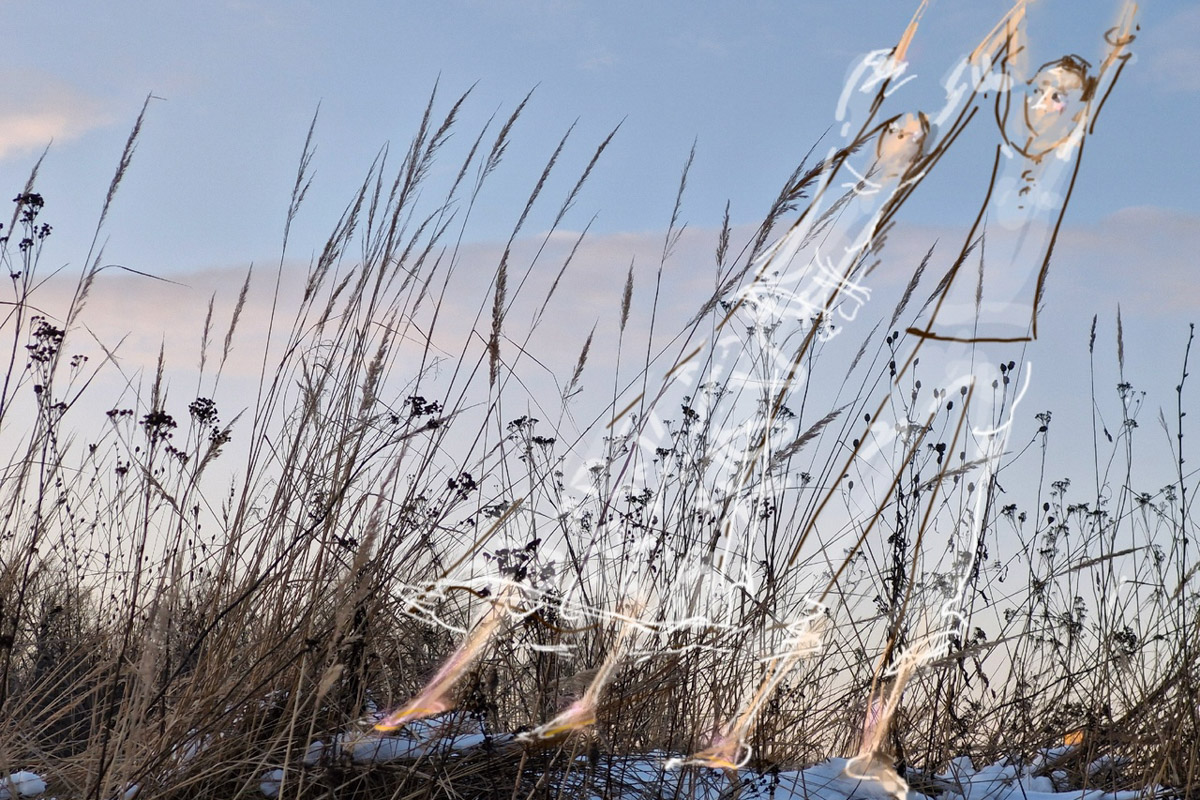У владимирского реставратора Татьяны Рычковой необычное хобби: она оживляет фотографии. Однажды художница открыла для себя искусство в смартфоне, и теперь в специальном редакторе делает зарисовки прямо на снимках, населяя владимирские локации и объекты разными героями, образами, фигурами.