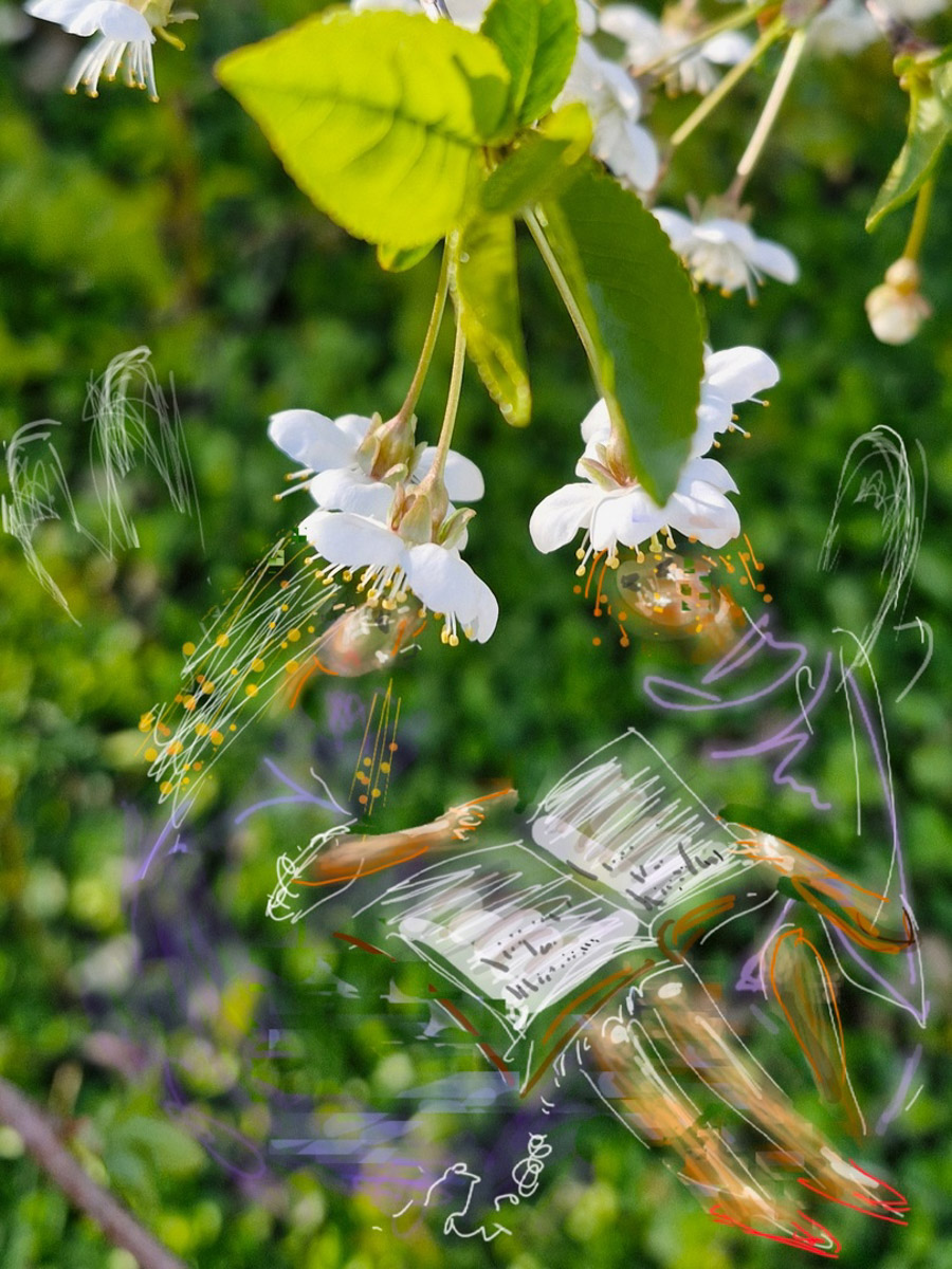 У владимирского реставратора Татьяны Рычковой необычное хобби: она оживляет фотографии. Однажды художница открыла для себя искусство в смартфоне, и теперь в специальном редакторе делает зарисовки прямо на снимках, населяя владимирские локации и объекты разными героями, образами, фигурами.