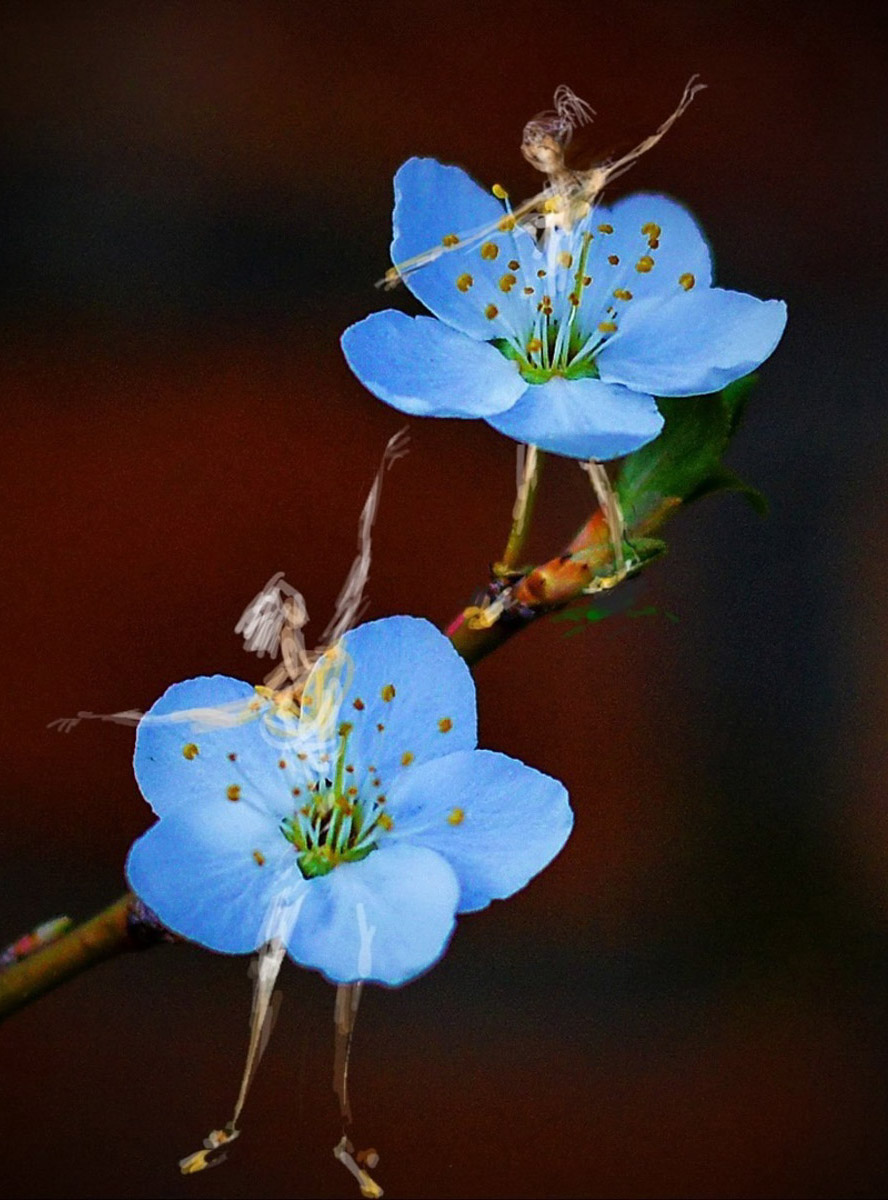 У владимирского реставратора Татьяны Рычковой необычное хобби: она оживляет фотографии. Однажды художница открыла для себя искусство в смартфоне, и теперь в специальном редакторе делает зарисовки прямо на снимках, населяя владимирские локации и объекты разными героями, образами, фигурами.
