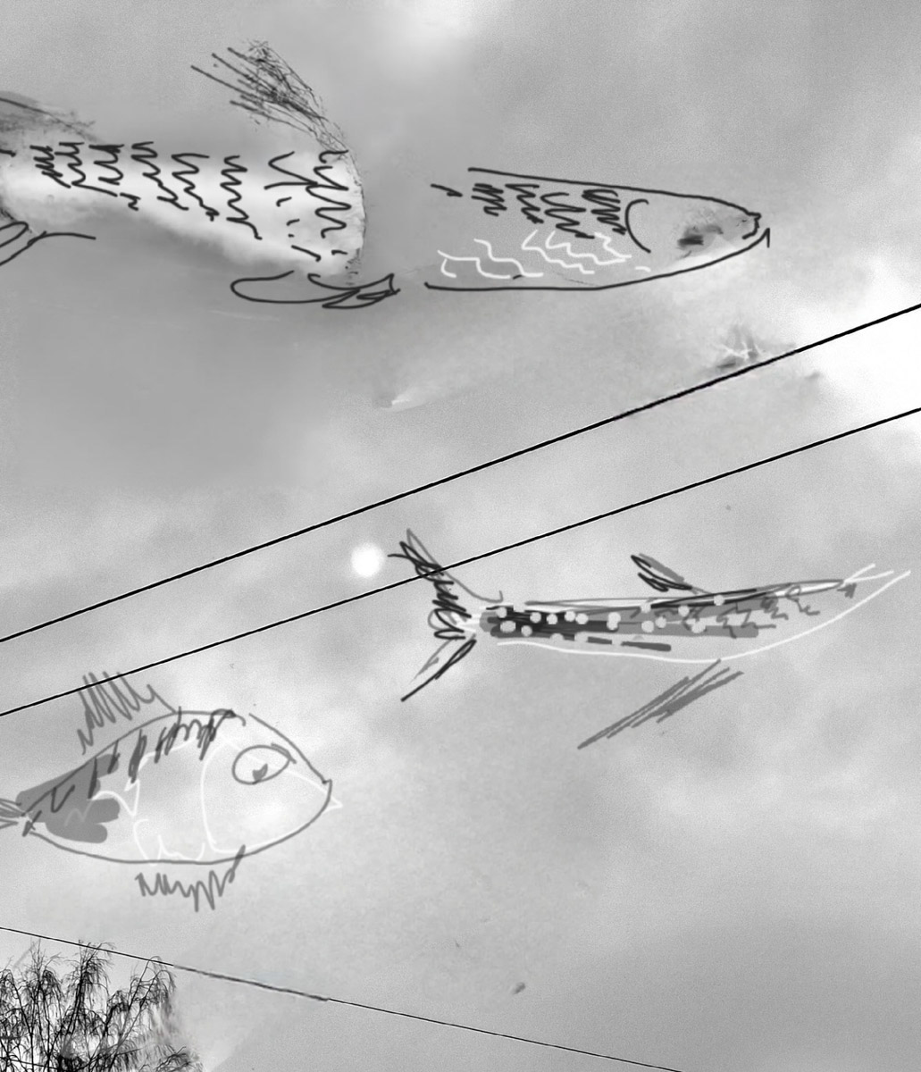 У владимирского реставратора Татьяны Рычковой необычное хобби: она оживляет фотографии. Однажды художница открыла для себя искусство в смартфоне, и теперь в специальном редакторе делает зарисовки прямо на снимках, населяя владимирские локации и объекты разными героями, образами, фигурами.