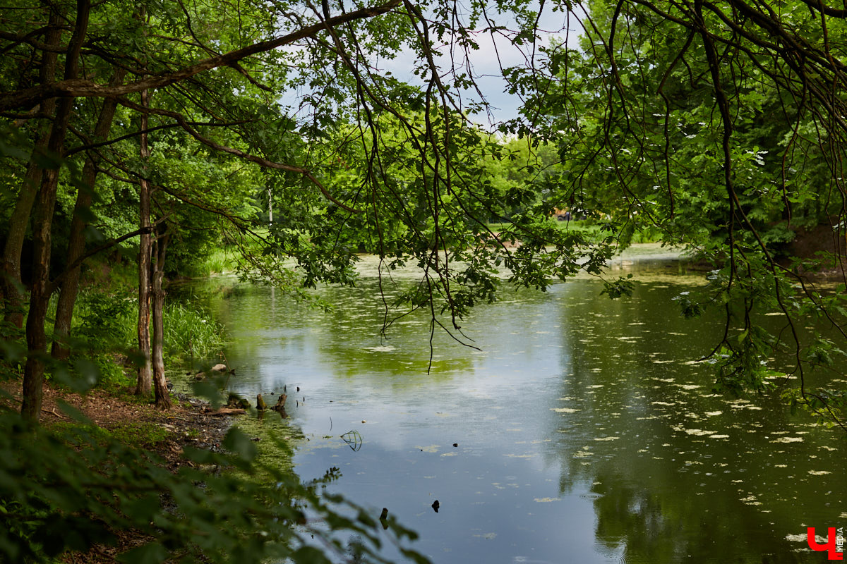Онлайн-голосование по определению общественных пространств для благоустройства в самом разгаре! Владимирцы выбирают, какой из 16 представленных проектов ждет воплощение. Правда, как считают местные активисты, не так бодро, как раньше. Что стало причиной снижения заинтересованности горожан и какие объекты вошли в тройку лидеров? Ответы на эти вопросы — в нашей статье.