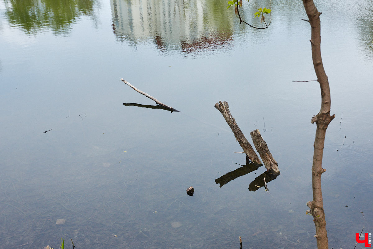 Онлайн-голосование по определению общественных пространств для благоустройства в самом разгаре! Владимирцы выбирают, какой из 16 представленных проектов ждет воплощение. Правда, как считают местные активисты, не так бодро, как раньше. Что стало причиной снижения заинтересованности горожан и какие объекты вошли в тройку лидеров? Ответы на эти вопросы — в нашей статье.