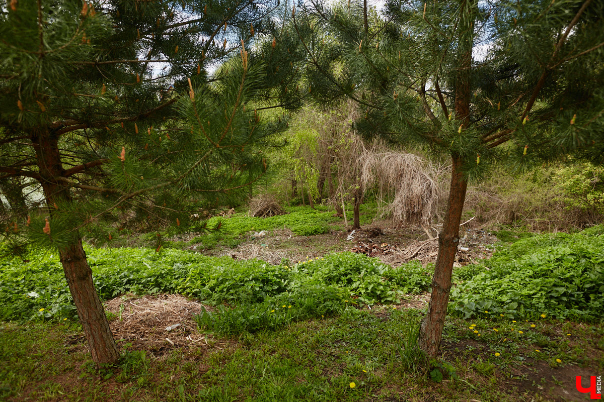 Близ Владимира находится село Суромна. Дойти до него можно пешком, совместив приятную прогулку с полезной экскурсией краеведа. Этот живописный уголок с богатейшей историей определенно достоин внимания, и «Ключ-Медиа» прошелся по старинным улочкам вместе с местной активисткой Жанной Солнцевой.
