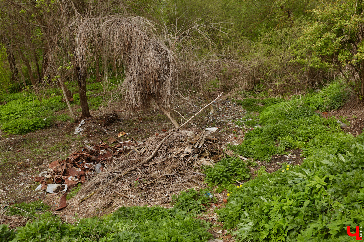 Близ Владимира находится село Суромна. Дойти до него можно пешком, совместив приятную прогулку с полезной экскурсией краеведа. Этот живописный уголок с богатейшей историей определенно достоин внимания, и «Ключ-Медиа» прошелся по старинным улочкам вместе с местной активисткой Жанной Солнцевой.