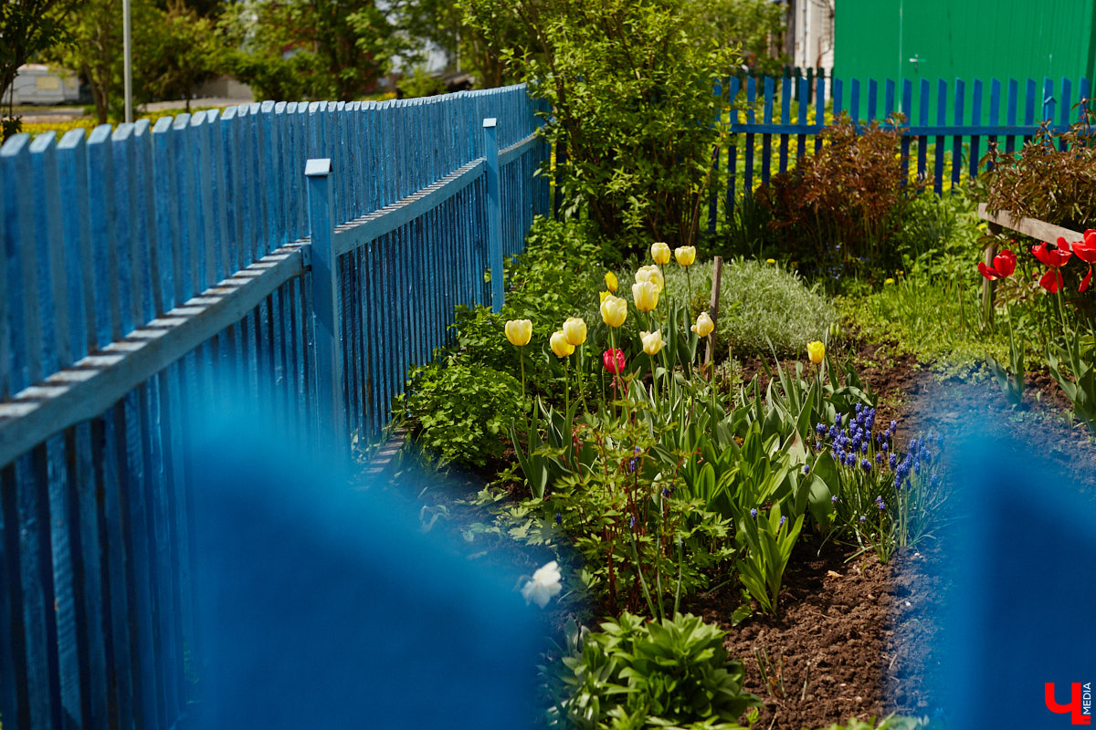 Близ Владимира находится село Суромна. Дойти до него можно пешком, совместив приятную прогулку с полезной экскурсией краеведа. Этот живописный уголок с богатейшей историей определенно достоин внимания, и «Ключ-Медиа» прошелся по старинным улочкам вместе с местной активисткой Жанной Солнцевой.