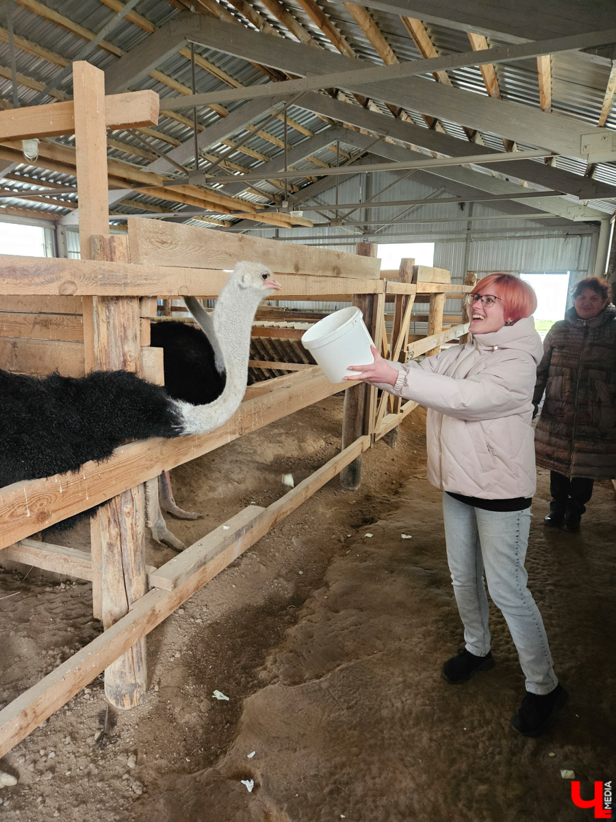 Шуя — небольшой городок всего в паре часов езды от Владимира. Но найдется ли там экзотика, достойная внимания взыскательного туриста? Особенно если на всё про всё сутки. Мы проверили и уверенно отвечаем: «Да!» Возможно, подобное путешествие выходного дня вдохновит и наших читателей.
