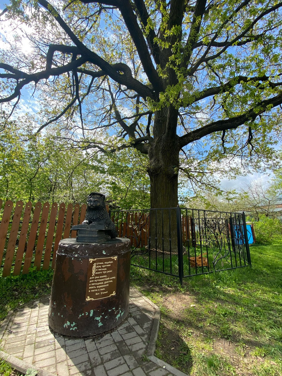 Вязники — чудесный город на холмах, родина поэта-песенника Алексея Фатьянова, край вишневых садов. А еще там немало удивительно красивых домов, на окнах которых нанесены старинные обереги. Какие символы размещали на своих жилищах вязниковские мастера, как трансформировалась местная резьба и что ее отличает? «Ключ-Медиа» собрал наблюдения по итогам двух весенних экспедиций.