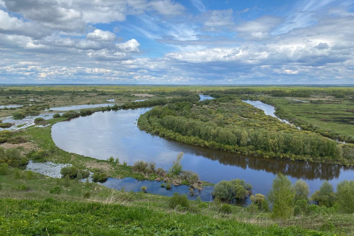 Вязники — чудесный город на холмах, родина поэта-песенника Алексея Фатьянова, край вишневых садов. А еще там немало удивительно красивых домов, на окнах которых нанесены старинные обереги. Какие символы размещали на своих жилищах вязниковские мастера, как трансформировалась местная резьба и что ее отличает? «Ключ-Медиа» собрал наблюдения по итогам двух весенних экспедиций.