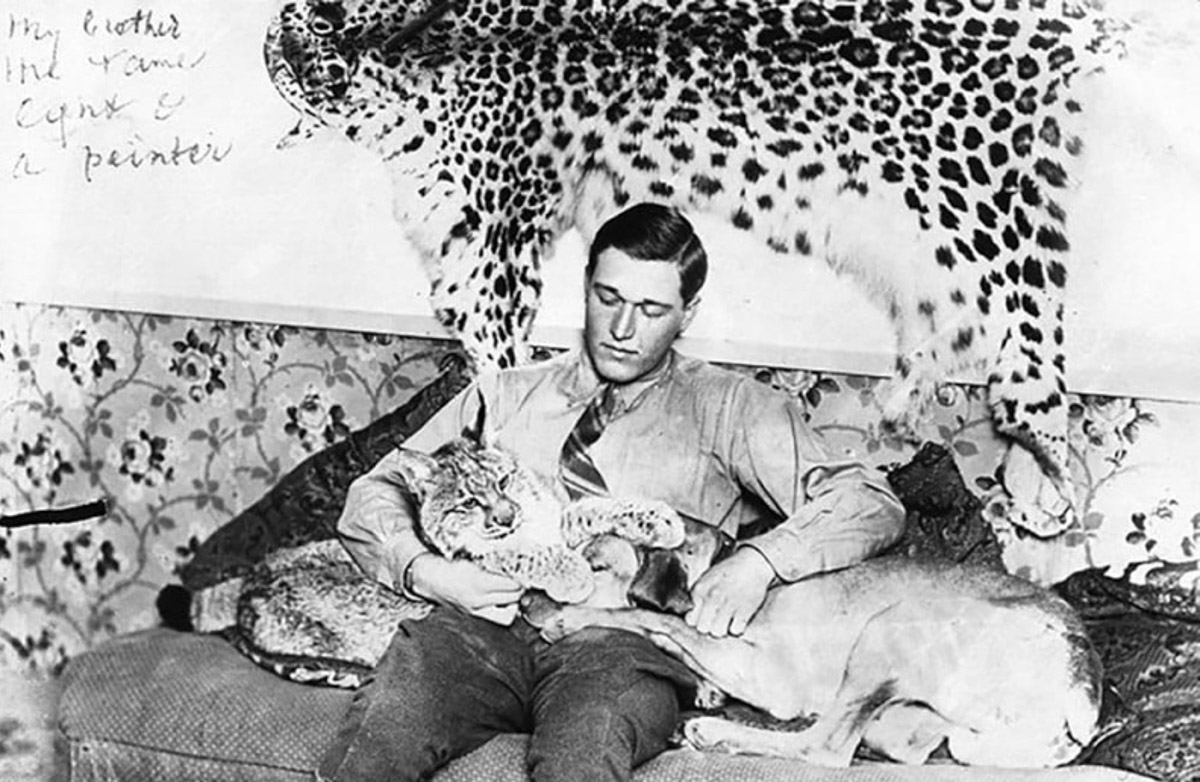 А вы знали, что Никита Михалков снял документальный фильм о семье владимирского писателя Валерия Янковского и о нем лично? В 2009 году премьера состоялась на телеканале «Россия». Жизнь этого удивительного человека похожа на приключенческий роман: пережил потерю родины, переезд в Корею и годы в ГУЛАГе... Какими же судьбами он попал в столицу 33-го региона?