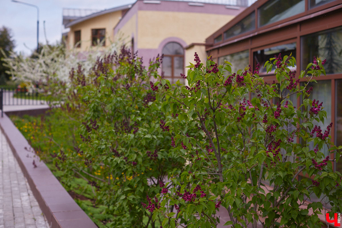 Вы уже определились с планами на выходные? Если нет, то подскажем несколько стоящих вариантов, где их провести. Журналисты программы «Доброе утро» составили топ лучших речных маршрутов и мест для фотосессии в окружении цветов, куда попали сразу две точки на карте 33-го региона.