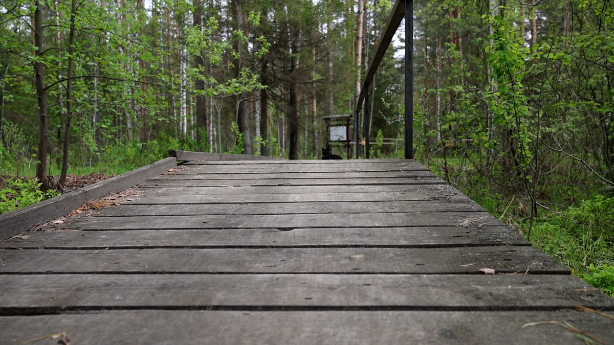 Куда отправиться на длительную летнюю прогулку, не покидая пределы 33-го региона? Готовы поделиться идеями. Если вам по душе уединение и тишина, предлагаем отметить на карте сразу две точки, куда непременно стоит отправиться, чтобы вдоволь насладиться свежим воздухом, щебетанием птиц и зеленью, столь отрадной для глаз. Речь о пеших экологических тропах.