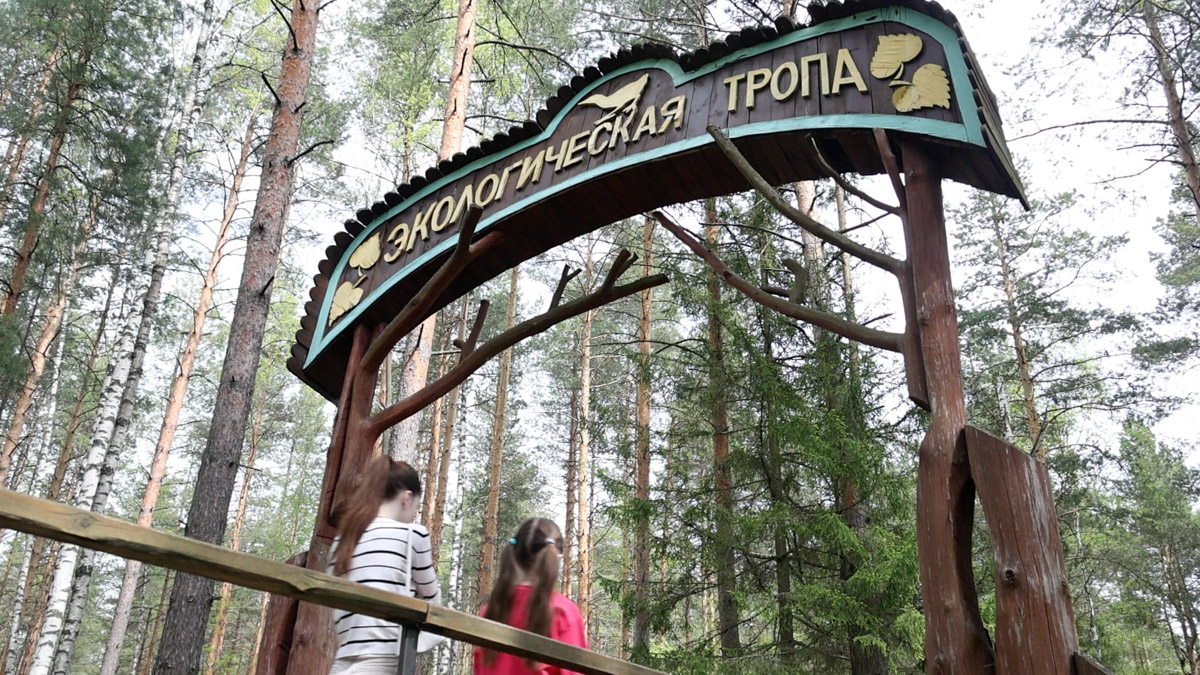 Куда отправиться на длительную летнюю прогулку, не покидая пределы 33-го региона? Готовы поделиться идеями. Если вам по душе уединение и тишина, предлагаем отметить на карте сразу две точки, куда непременно стоит отправиться, чтобы вдоволь насладиться свежим воздухом, щебетанием птиц и зеленью, столь отрадной для глаз. Речь о пеших экологических тропах.
