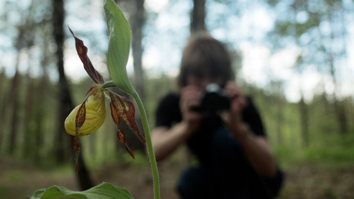 Куда отправиться на длительную летнюю прогулку, не покидая пределы 33-го региона? Готовы поделиться идеями. Если вам по душе уединение и тишина, предлагаем отметить на карте сразу две точки, куда непременно стоит отправиться, чтобы вдоволь насладиться свежим воздухом, щебетанием птиц и зеленью, столь отрадной для глаз. Речь о пеших экологических тропах.