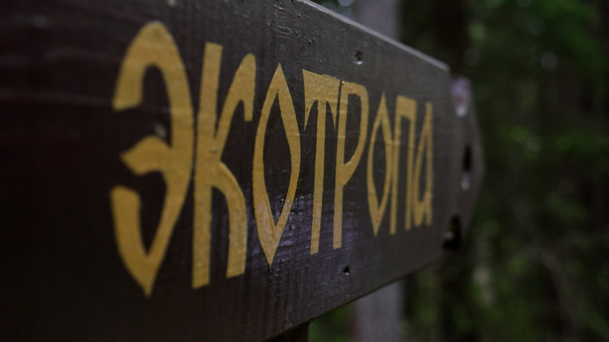 Куда отправиться на длительную летнюю прогулку, не покидая пределы 33-го региона? Готовы поделиться идеями. Если вам по душе уединение и тишина, предлагаем отметить на карте сразу две точки, куда непременно стоит отправиться, чтобы вдоволь насладиться свежим воздухом, щебетанием птиц и зеленью, столь отрадной для глаз. Речь о пеших экологических тропах.