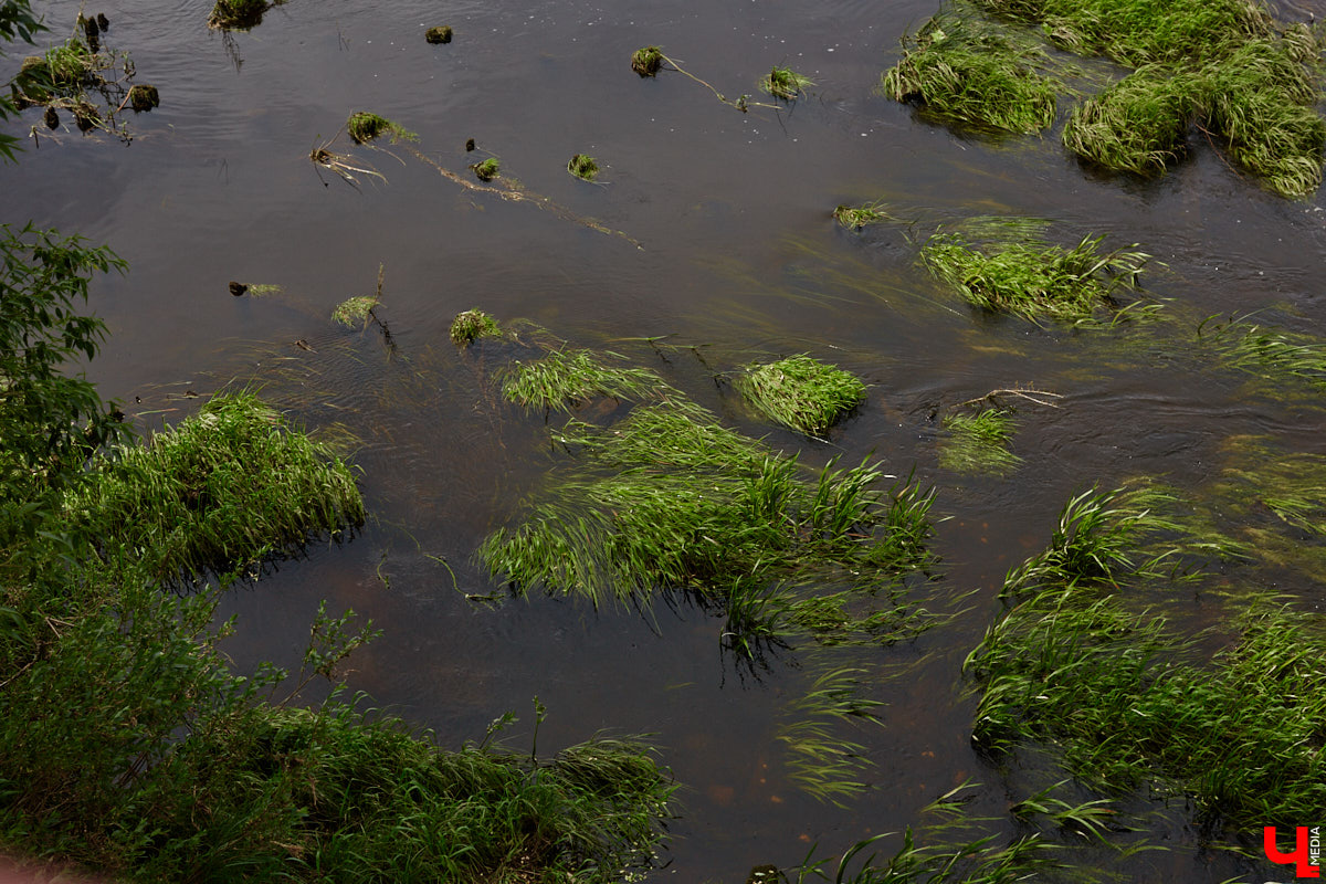 Не раз доказывали, что заброшка может стать точкой притяжения. Яркий тому пример — руины, оставшиеся от ГЭС, в селе Заполицы. Силами креативно мыслящих людей их превратили в арт-пространство. «Ключ-Медиа» пообщался с местным куратором Анастасией Вавиловой и узнал, кому и для чего сюда также стоит заглянуть.