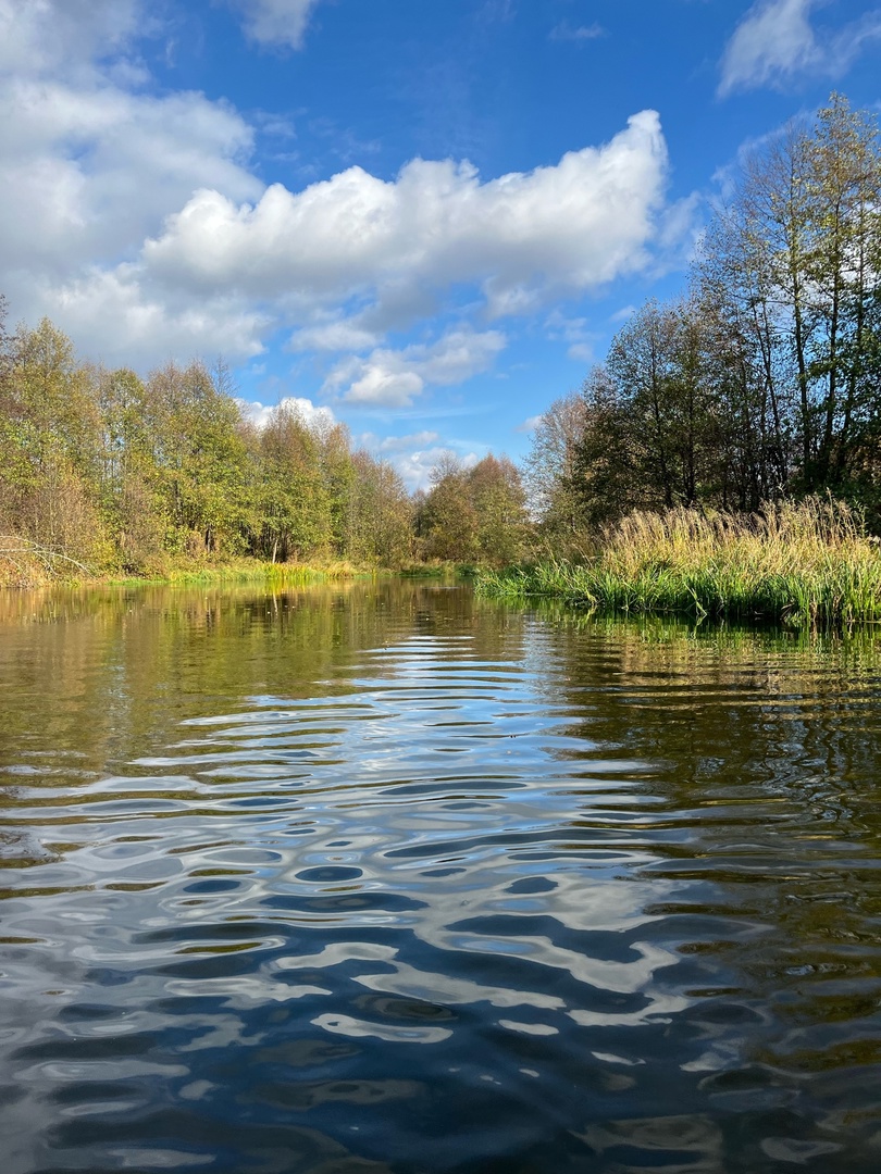 Мы точно знаем, кто проживает на дне океана, а вот подводный мир владимирских рек для многих остается тайной. Приоткрыть ее решили блогеры из Нижегородской области. Супруги-исследователи показали, что скрывает блестящая гладь Ушны, Колпи и Илевны.