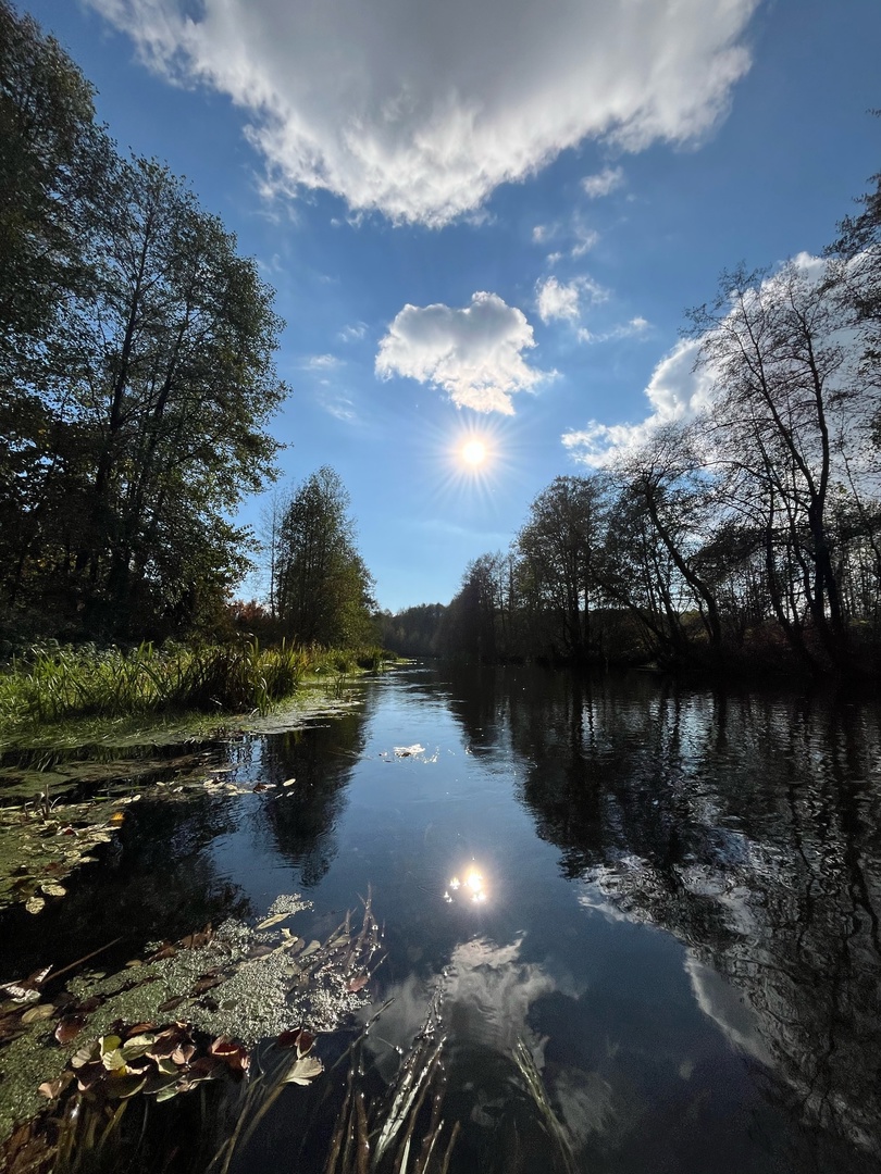Мы точно знаем, кто проживает на дне океана, а вот подводный мир владимирских рек для многих остается тайной. Приоткрыть ее решили блогеры из Нижегородской области. Супруги-исследователи показали, что скрывает блестящая гладь Ушны, Колпи и Илевны.