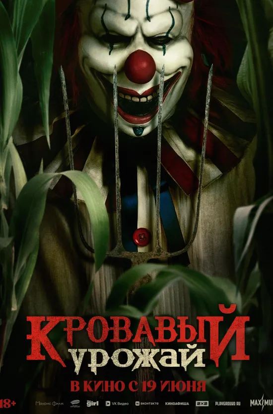 Жителей 33-го региона ждет громкий финал «ВладРока», где пятерка лучших групп устроит музыкальную дуэль за любовь публики. А на природе состоится мощный фестиваль под открытым небом. Лето набирает громкость — не пропусти!