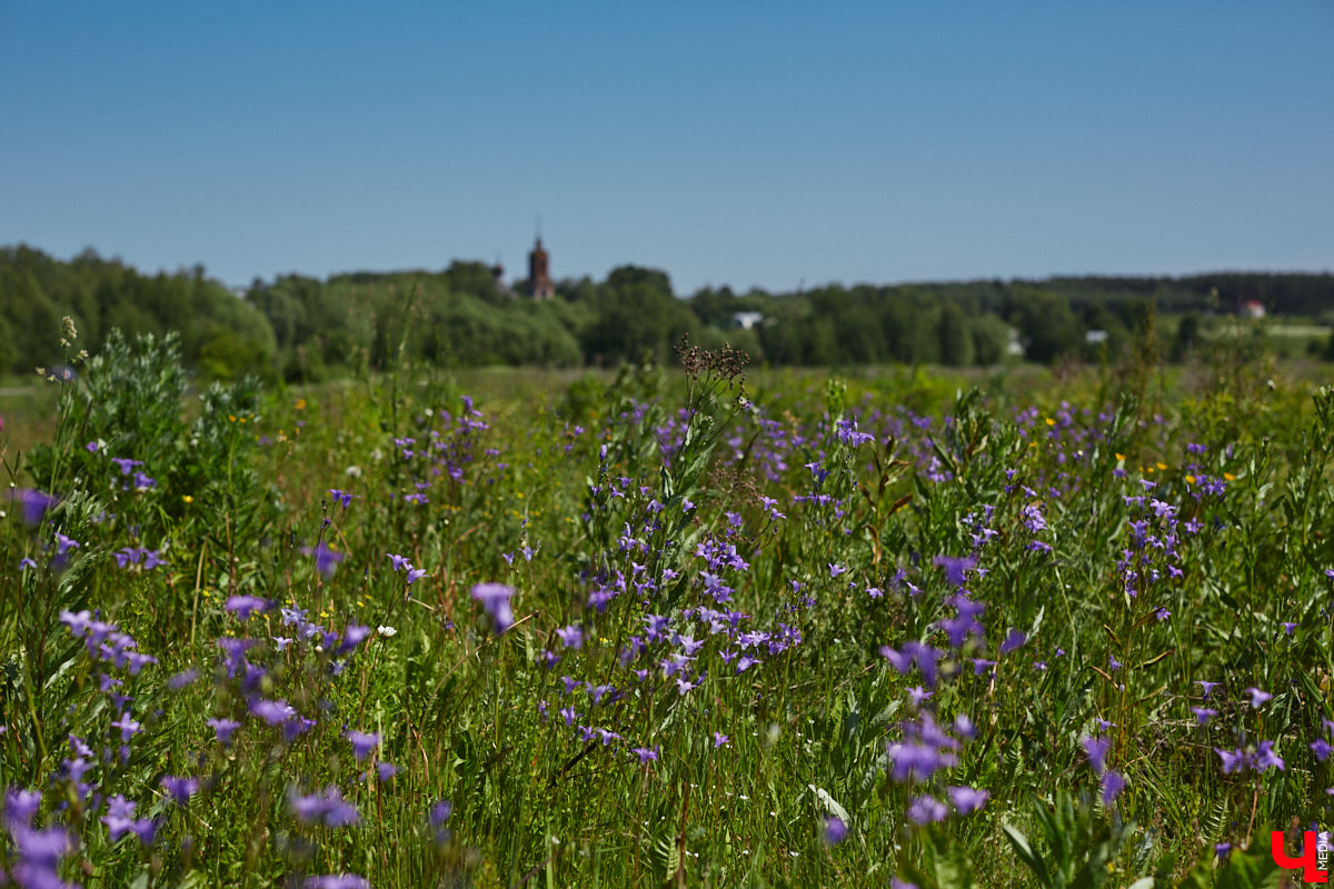 Одиннадцатое лето подряд во Владимирской области будут выбирать самую красивую деревню. Прием заявок стартовал, и вскоре жители населенных пунктов начнут серьезную борьбу за Гран-при, который в этом году стал солиднее. Какие еще нововведения появились в 2025-м? Давайте разбираться!
