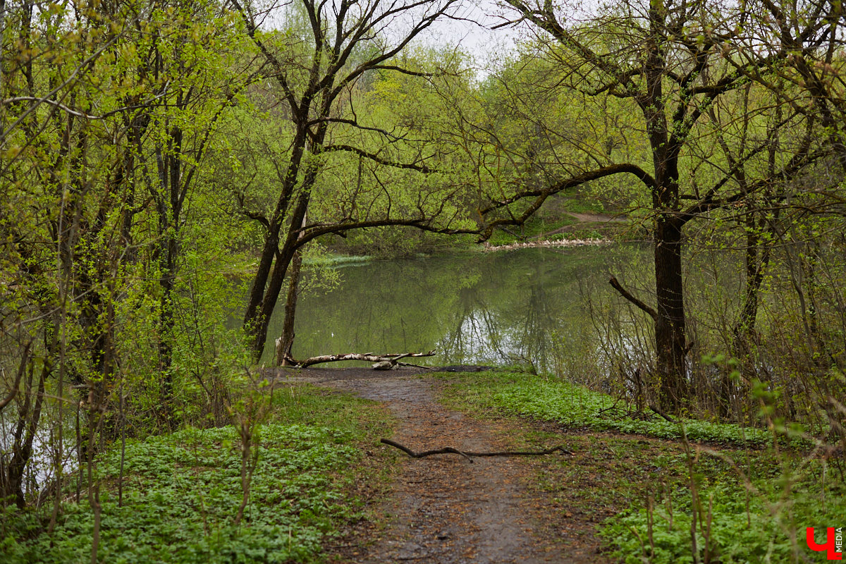 Во Владимире стартовал второй этап благоустройства Старых садов около ДДюТ, который продлится чуть больше года. И здесь жителей областного центра ждут две новости. Плохая заключается в том, что родник на улице Мира на это время закроют. Условно хорошая — деревьев и кустарников вырубят меньше, чем планировалось. Обсудили будущее зеленого пространства с главным экологом города.