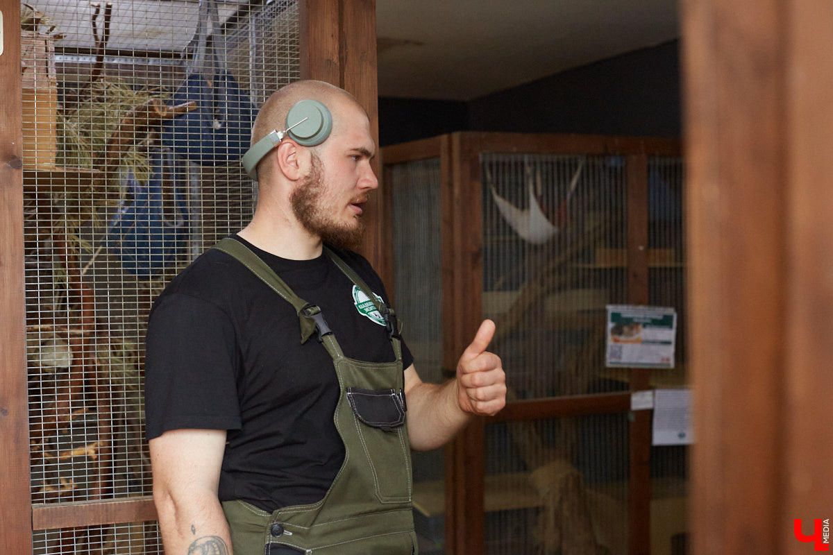 Дети обладают способностью вызывать улыбку. Это касается также четырехлапых, хвостатых и зубастых крох. «Ключ-Медиа» решил, что сейчас подборка умилительных кадров придется к месту, поэтому заглянул во владимирский экзотариум за порцией хорошего настроения.