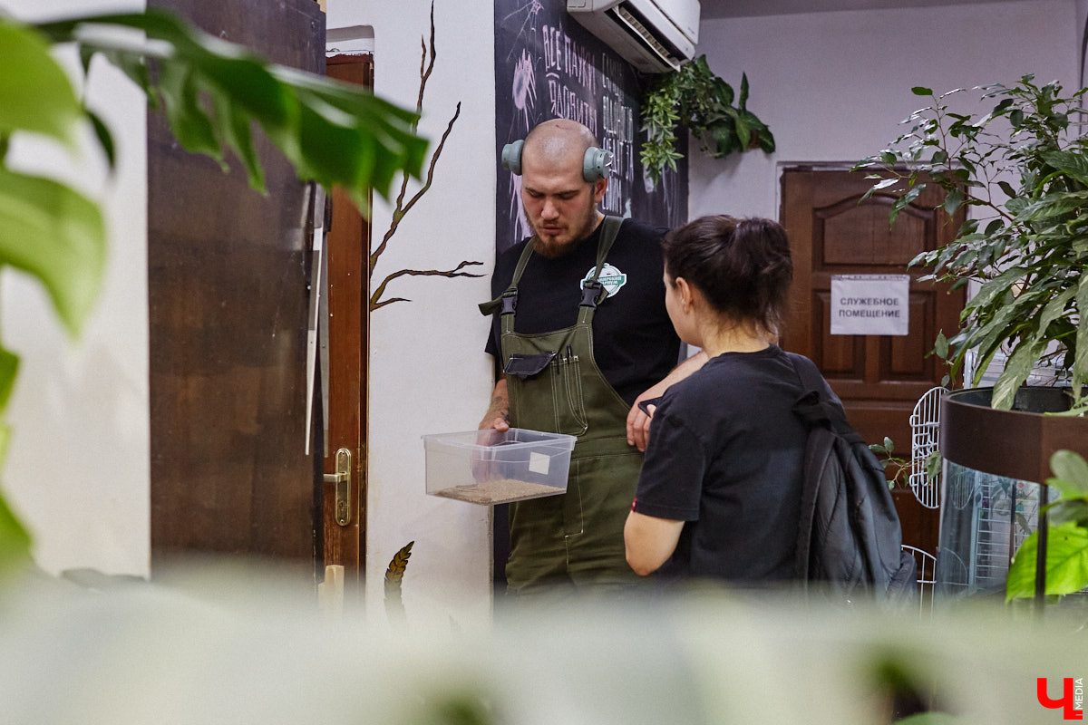 Дети обладают способностью вызывать улыбку. Это касается также четырехлапых, хвостатых и зубастых крох. «Ключ-Медиа» решил, что сейчас подборка умилительных кадров придется к месту, поэтому заглянул во владимирский экзотариум за порцией хорошего настроения.