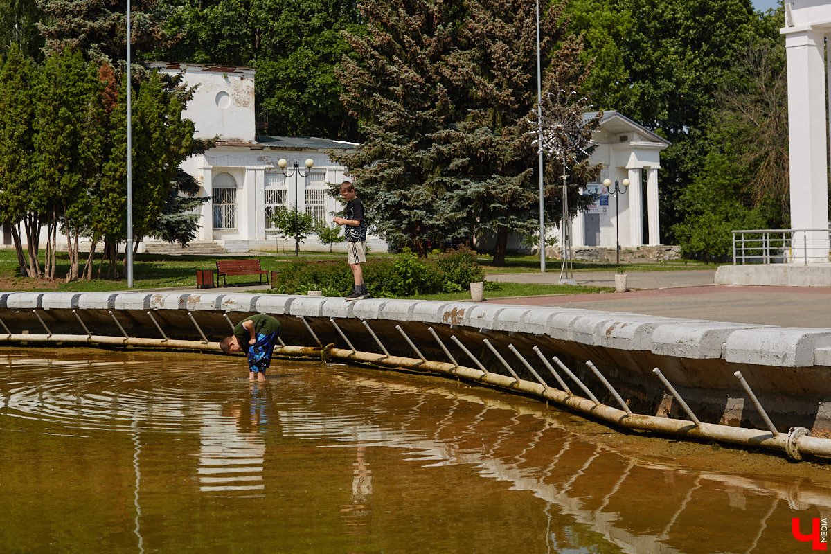 Центральный парк, как и вокзал, является лицом города. И главная зеленая площадка стремится соответствовать такому высокому статусу. Там широкие тенистые аллеи, клумбы, большой освежающий фонтан. Впрочем, если присмотреться, не все так идеально. Что же во владимирском оазисе требует внимания?