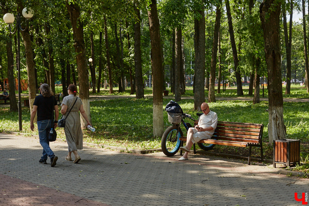 Центральный парк, как и вокзал, является лицом города. И главная зеленая площадка стремится соответствовать такому высокому статусу. Там широкие тенистые аллеи, клумбы, большой освежающий фонтан. Впрочем, если присмотреться, не все так идеально. Что же во владимирском оазисе требует внимания?