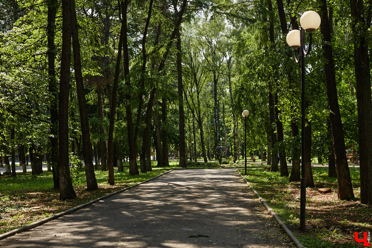 Центральный парк, как и вокзал, является лицом города. И главная зеленая площадка стремится соответствовать такому высокому статусу. Там широкие тенистые аллеи, клумбы, большой освежающий фонтан. Впрочем, если присмотреться, не все так идеально. Что же во владимирском оазисе требует внимания?