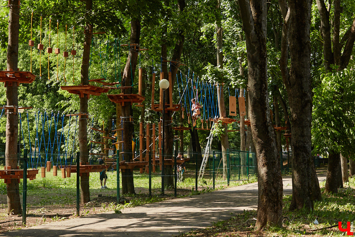 Центральный парк, как и вокзал, является лицом города. И главная зеленая площадка стремится соответствовать такому высокому статусу. Там широкие тенистые аллеи, клумбы, большой освежающий фонтан. Впрочем, если присмотреться, не все так идеально. Что же во владимирском оазисе требует внимания?