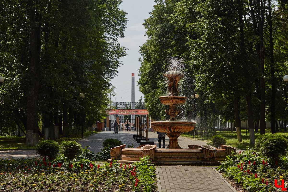 Центральный парк, как и вокзал, является лицом города. И главная зеленая площадка стремится соответствовать такому высокому статусу. Там широкие тенистые аллеи, клумбы, большой освежающий фонтан. Впрочем, если присмотреться, не все так идеально. Что же во владимирском оазисе требует внимания?